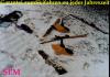 Sichern sie Ihre Winterbetrieb mit oder ohne Schnee mit SEM