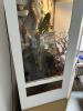 Terrarium mit einem Jemenchameleon