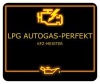 AUTOGASUMRÜSTUNG PERFEKT UND GÜNSTIG 