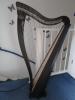 Harfe Dusty Strings Ravenna 34 kaum bespielt 1 Jahr alt