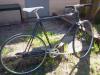 Puch Singlespeed