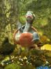 emydura subglobosa,  Rotbauch-Spitzkopfschildkröten,  Wasserschildkröten
