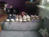 4 paar kinderschuhe von 23/ 24