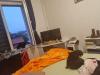 Katzenbaby 12 Wochen alt