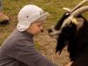 Weiterführung Tierkommunikation
