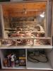 2 Leopardgeckos (m/ w) inkl. komplett eingerichtetem Terrarium + weitere Zubehör 