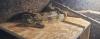 Boa Constrictor Imperator Weibchen,  geb. 2020