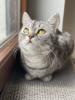 ?DRINGEND NEUES ZUHAUSE GESUCHT?