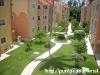 PUNTA CANA PLAYA BAVARO APARTMENT ZU VERMIETEN STRANDNAH  HOT DEAL DOMINIKANISCH
