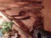 Terrarium incl Leopardengecko Paar