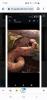 Hog Island Boa 0.1