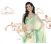 Bollywood SARI INDISCHE PARTY KLEID mit Blusenstoff