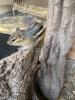 Streifenhörnchen Mia sucht ein neues Zuhause