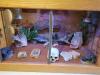 Zwergbartagamen mit Terrarium,  Aussengehege und Zubehör 
