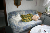 Coutch mit Sessel