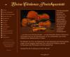 Instrumentale Untermalungsmusik - Streichquartett