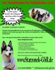 Hundefutter von Tierliebhabern für Tierliebhaber m/  w/  d