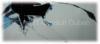 ITC Laptopdisplay Repair