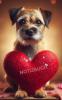 Border Terrier Notizbuch,  Buch: Das perfekte Geschenk für Terrier Liebhaber & Hu