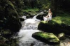 Psychologische Lebensberatung,  Entspannungstraining,  Bach-Blüten Therapie