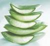 FOREVER Aloe Vera Gel