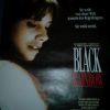 1989 Rosanna Arquette Black Rainbow Kino Plakat A1