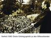 Sinn des Lebens Das Phänomen Bruno Gröning