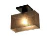 Deckenlampe Deckenleuchte Wand Bilbao-012 Graphite Transparent