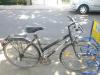 (136) 21 Gang 28 Zoll Peugeot