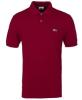 Lacoste Polo Sonderverkauf