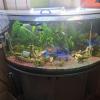 Eckaquarium zu verkaufen