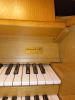 Johannus Orgel Rembrandt 495 Platinum (2008)