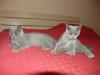 BKH-Blau-Kater