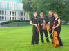 Streichquartett für Hochzeit,  Event,  Feier - Hochzeitsmusik