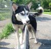 Fiona sucht dringend ein zu Hause
