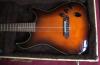 Ibanez SC 500 Nylon E Gitarre