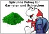 50g Premium Spirulina Pulver - Futter für alle Wirbellose 