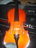 Verkaufe Violine 1/ 2 Größe