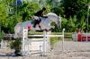 schicke Stute mit bravem Charakter