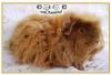 1, 1 Sheltie und Merino