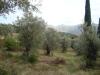 Baugrundstück in Evia /  Griechenland