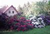 Wohnung /  Haus in idyllischer Alleinlage unweit Dümmer See