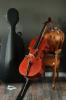 4/ 4 Silam Cello