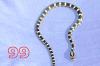 Kornnattern (Pantherophis Guttatus,  Classic und Black Albino) ab 15 Euro