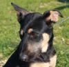 George ist auf der Suche!