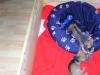 drei kleine süße  chihuahua jungs