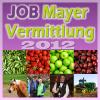Arbeitskräfte,  Erntehelfer aus Rumänien