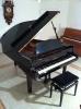 * SUCHE FLÜGEL O. KLAVIER /  PIANO * 