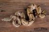 1.1 Boa constrictor amarali- Südbrasilien Nz 2010 abzugeben