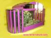 Terrarium Terrarien in vielen Formen + Farben aus Glas